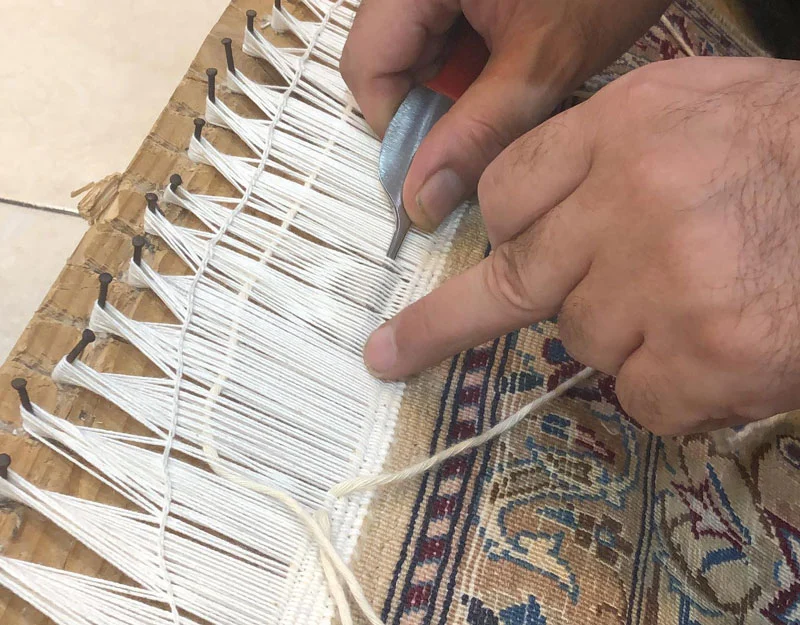 Mojeze Carpet Cleaning